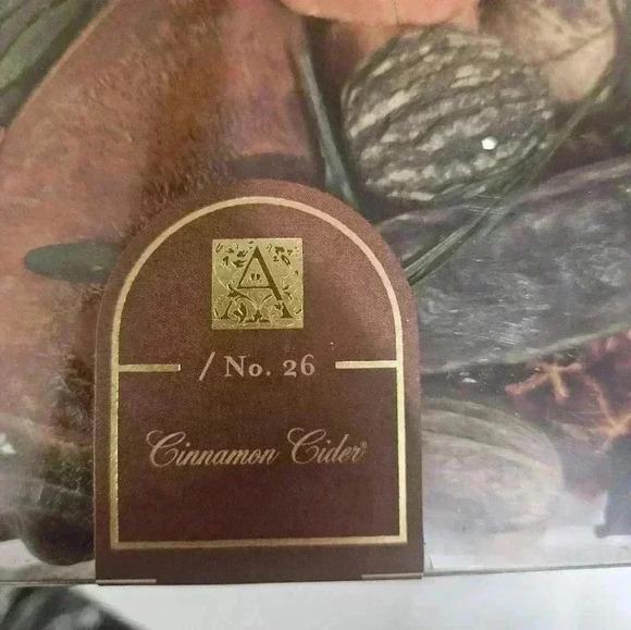 NWT- cinnamon cider potpourri! - Picture 4 of 4
